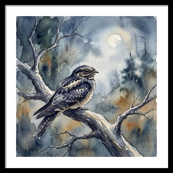 Nightjar Under The Moonlight