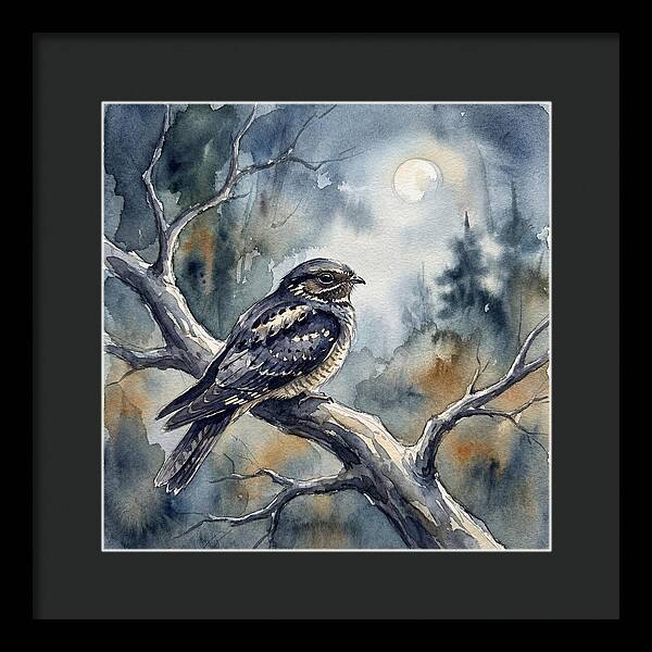 Nightjar Under The Moonlight
