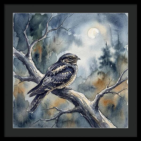 Nightjar Under The Moonlight