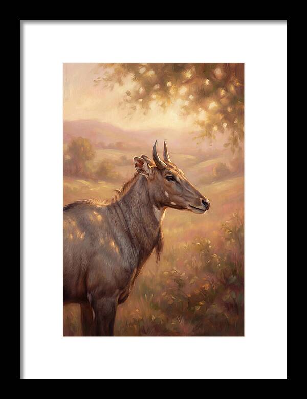 Nilgai Portrait