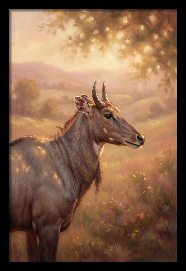 Nilgai Portrait
