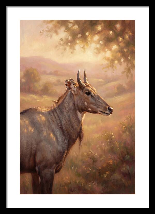 Nilgai Portrait