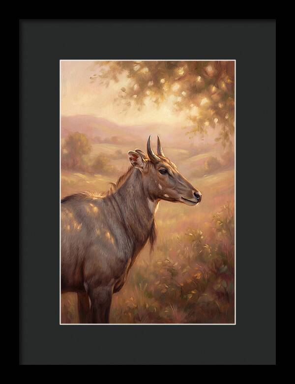 Nilgai Portrait