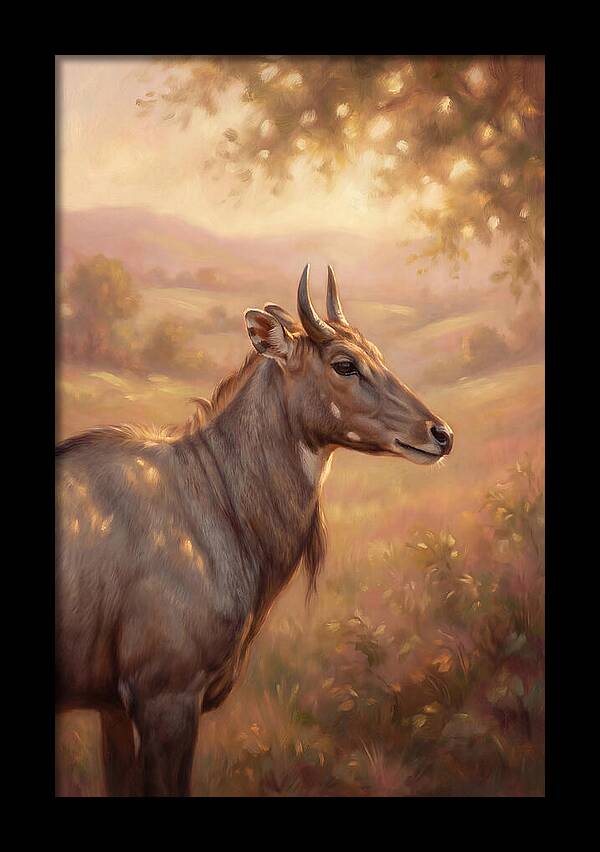 Nilgai Portrait