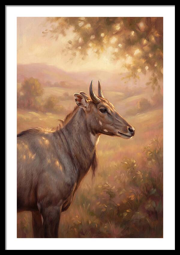 Nilgai Portrait