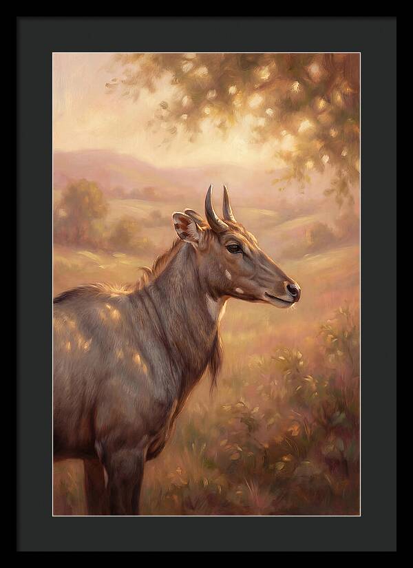 Nilgai Portrait