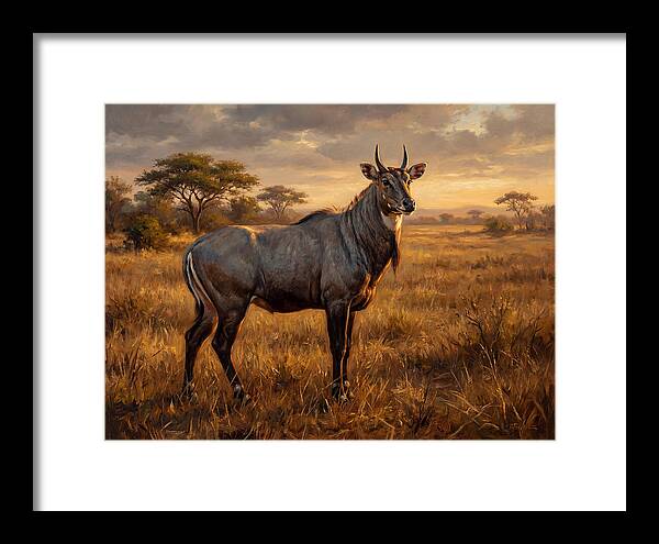 Nilgai Standing Proudly In The Grasslands