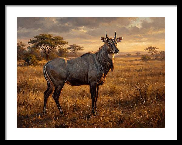 Nilgai Standing Proudly In The Grasslands