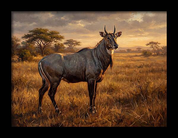 Nilgai Standing Proudly In The Grasslands