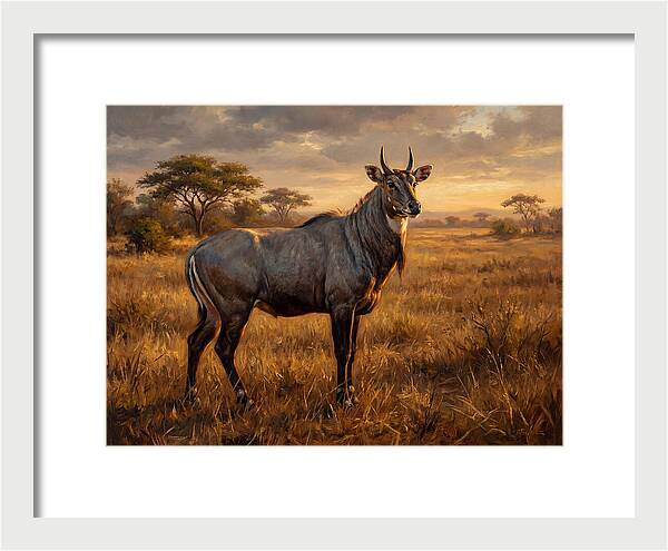 Nilgai Standing Proudly In The Grasslands