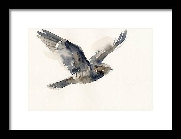 Nocturnal Flight Of The Nightjar