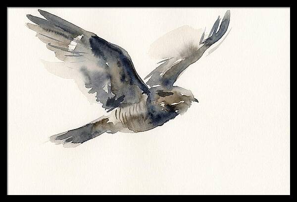Nocturnal Flight Of The Nightjar
