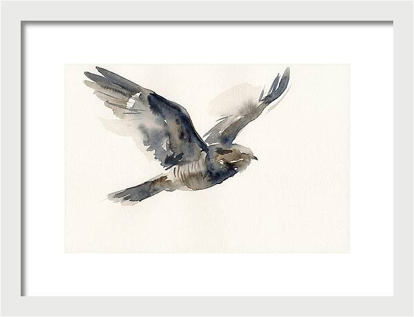 Nocturnal Flight Of The Nightjar