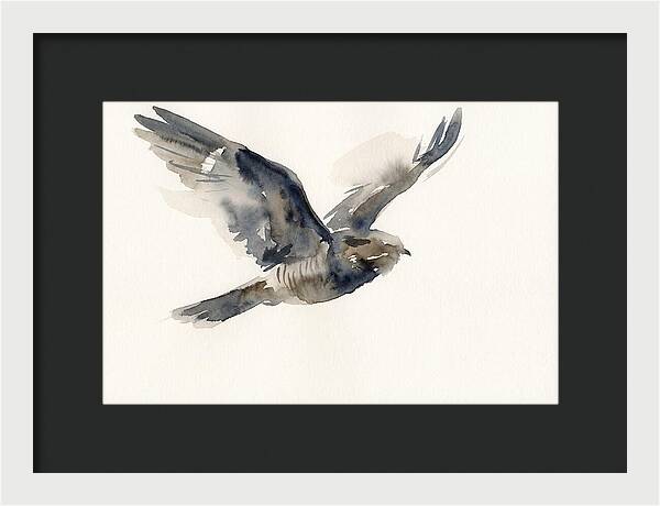 Nocturnal Flight Of The Nightjar