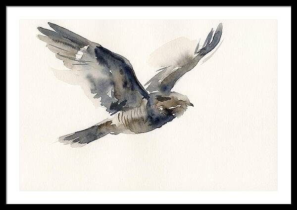 Nocturnal Flight Of The Nightjar