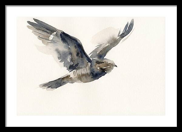 Nocturnal Flight Of The Nightjar