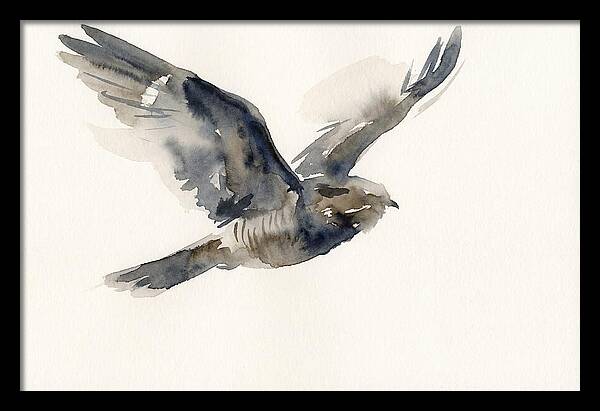 Nocturnal Flight Of The Nightjar