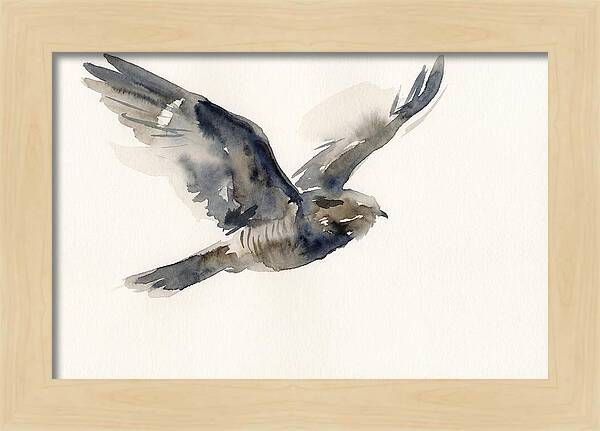 Nocturnal Flight Of The Nightjar
