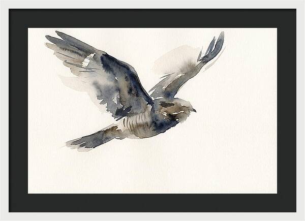 Nocturnal Flight Of The Nightjar
