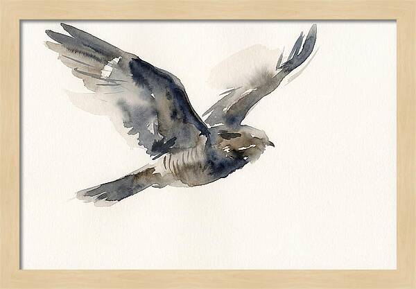 Nocturnal Flight Of The Nightjar