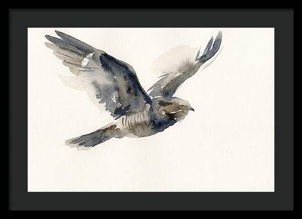 Nocturnal Flight Of The Nightjar