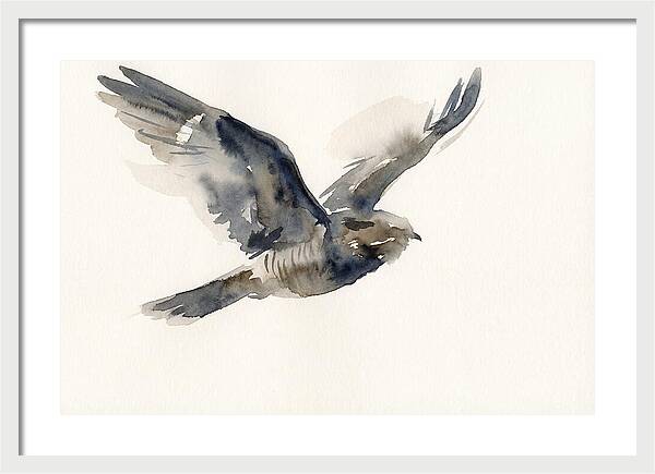 Nocturnal Flight Of The Nightjar