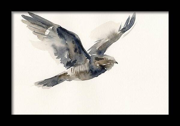 Nocturnal Flight Of The Nightjar