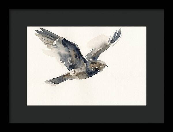 Nocturnal Flight Of The Nightjar
