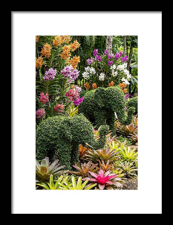 Nong Nooch Elephant Garden