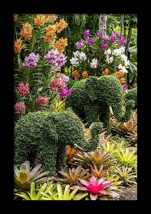 Nong Nooch Elephant Garden