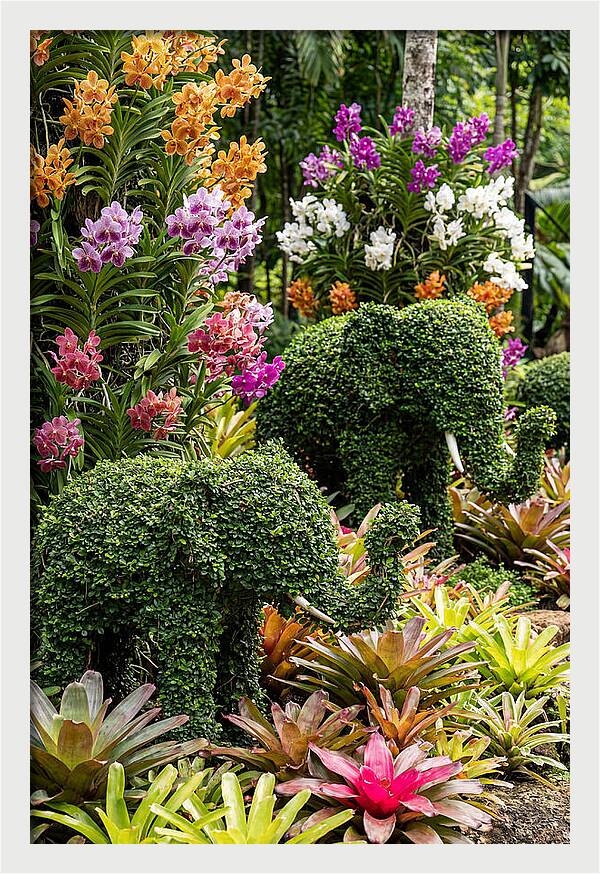 Nong Nooch Elephant Garden