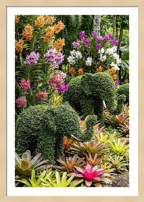 Nong Nooch Elephant Garden