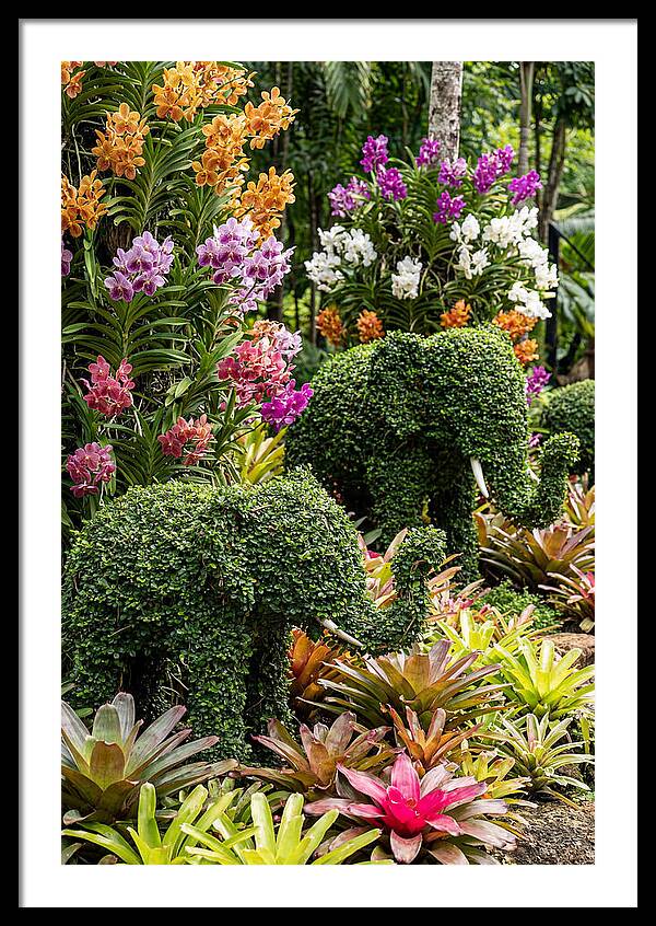 Nong Nooch Elephant Garden