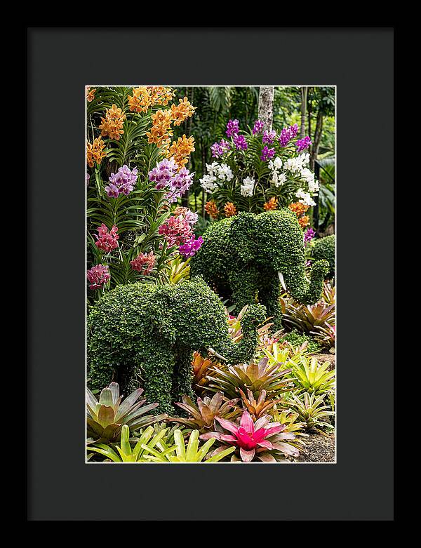 Nong Nooch Elephant Garden