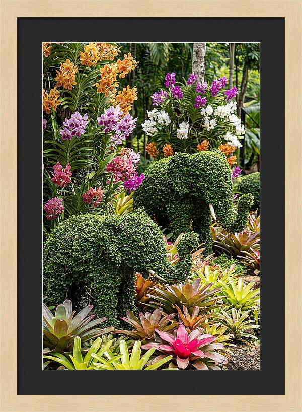 Nong Nooch Elephant Garden