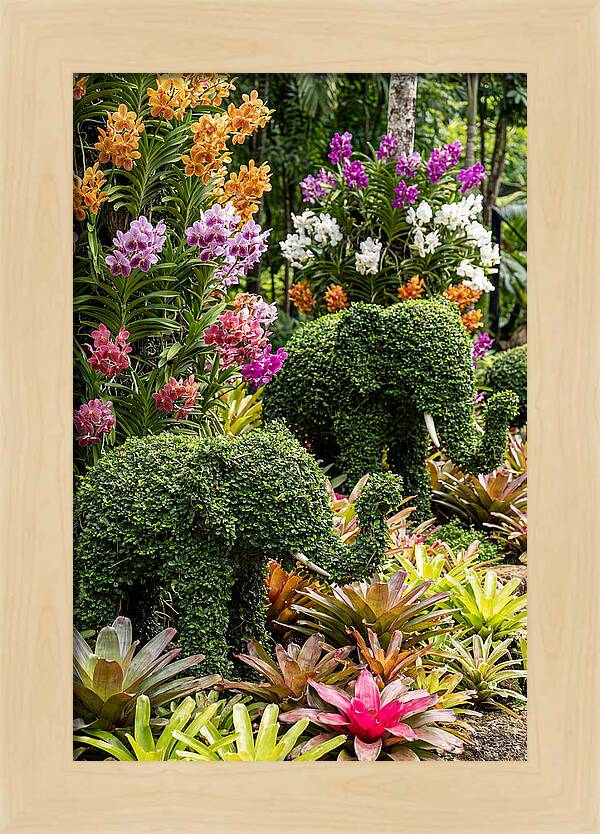 Nong Nooch Elephant Garden