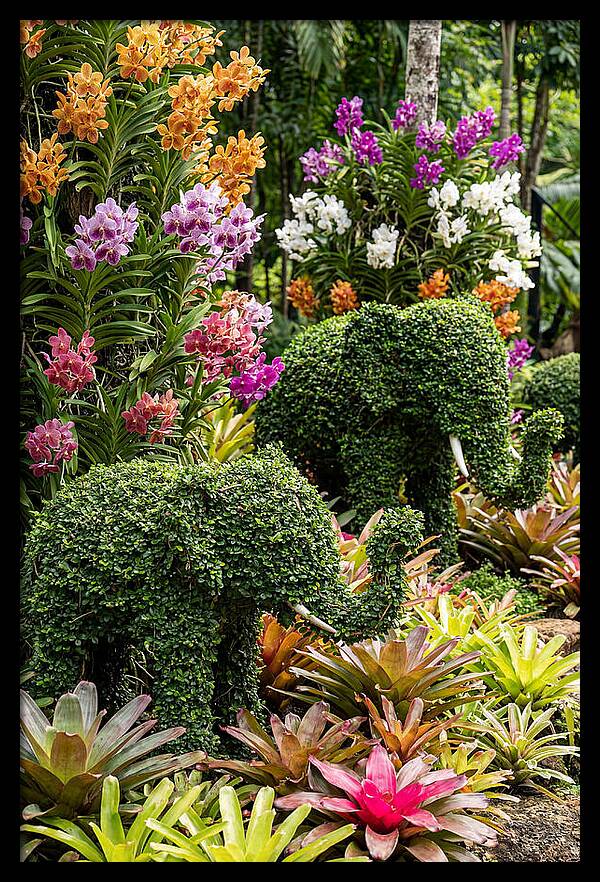 Nong Nooch Elephant Garden