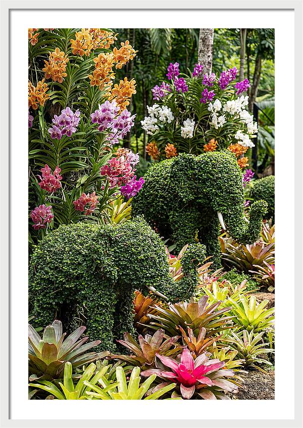 Nong Nooch Elephant Garden