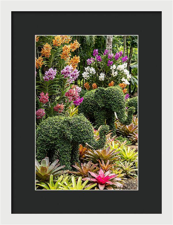 Nong Nooch Elephant Garden