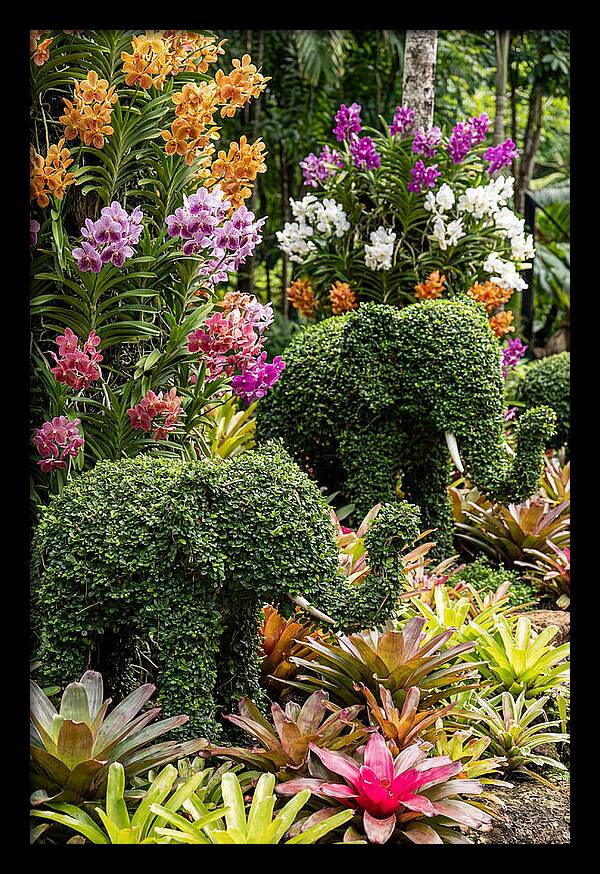Nong Nooch Elephant Garden