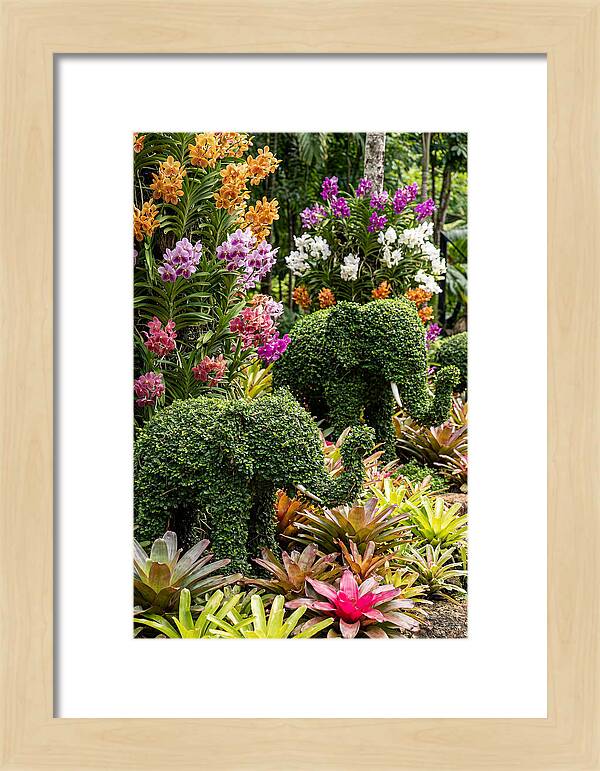 Nong Nooch Elephant Garden