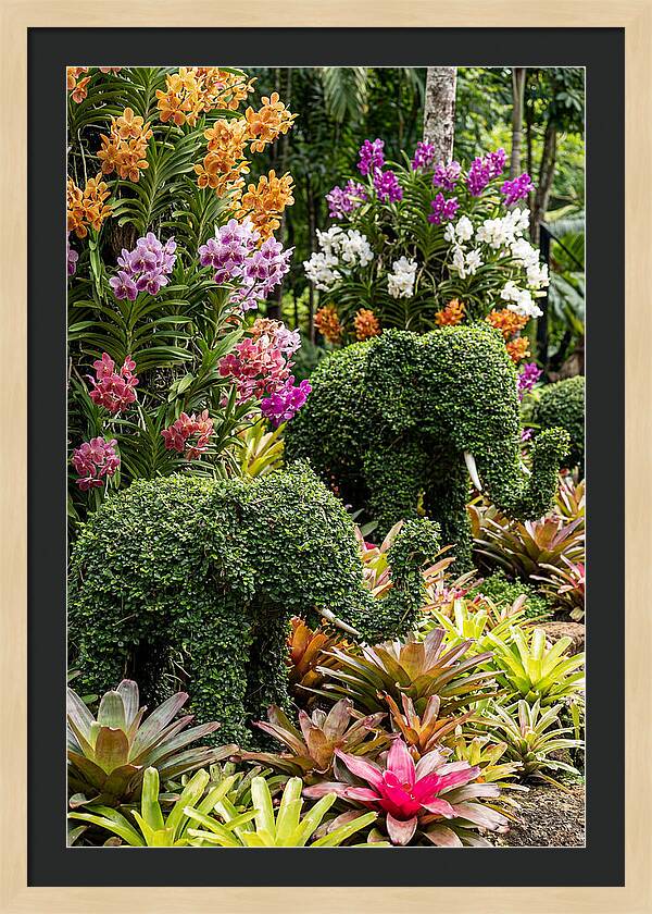 Nong Nooch Elephant Garden