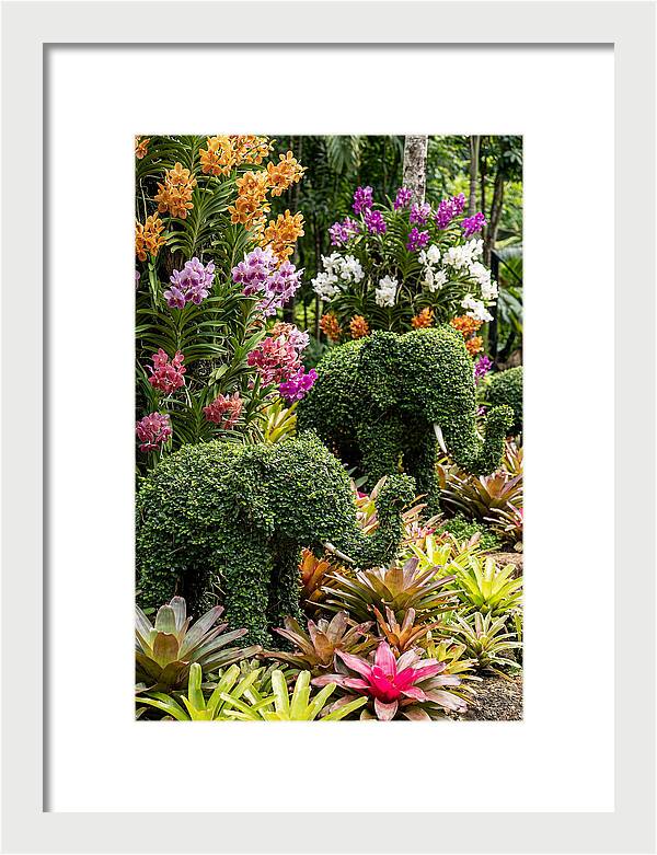Nong Nooch Elephant Garden