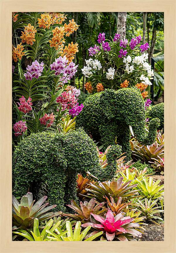 Nong Nooch Elephant Garden
