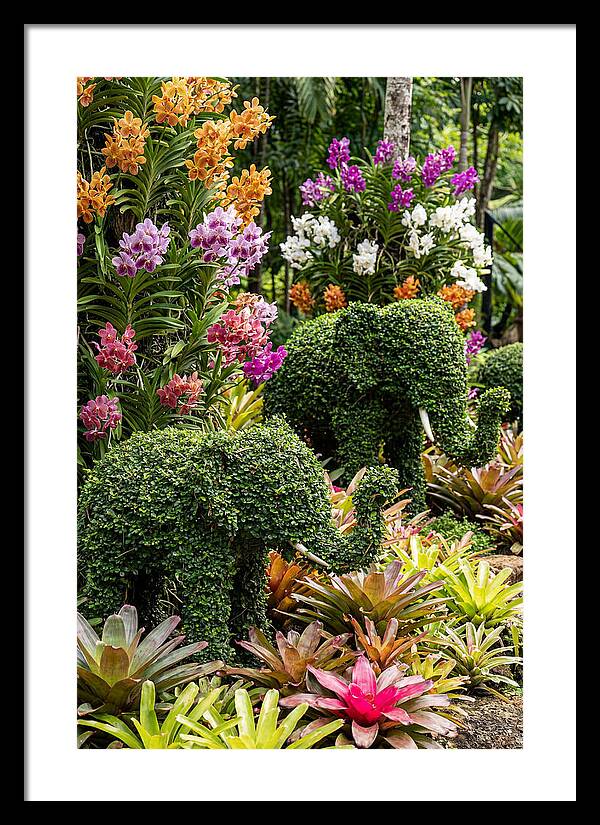 Nong Nooch Elephant Garden