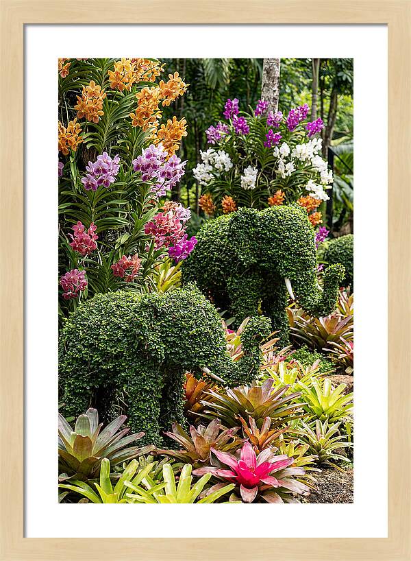 Nong Nooch Elephant Garden