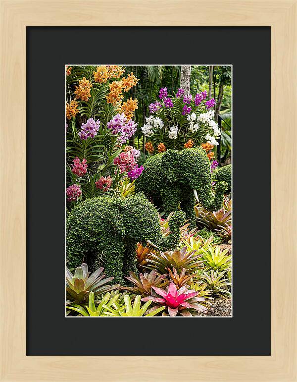 Nong Nooch Elephant Garden