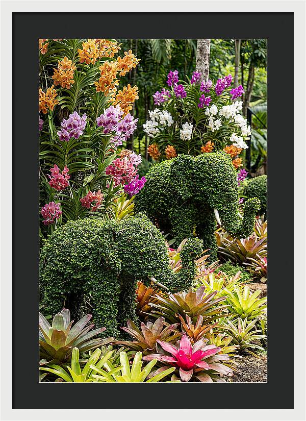 Nong Nooch Elephant Garden