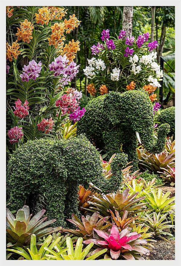 Nong Nooch Elephant Garden