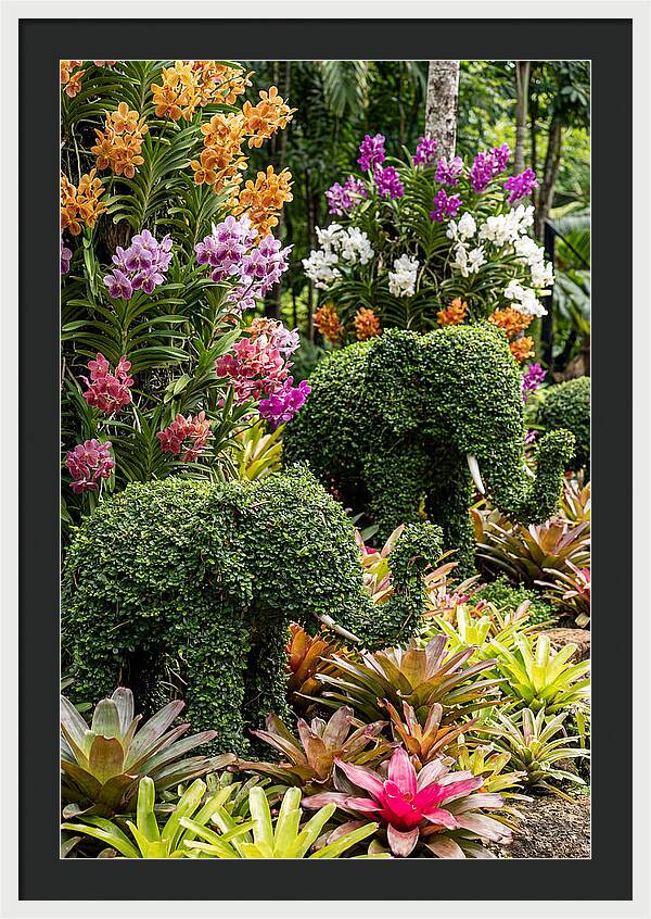 Nong Nooch Elephant Garden